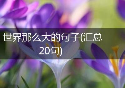 世界那么大的句子(汇总20句)