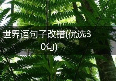 世界语句子改错(优选30句)