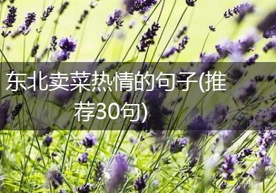 东北卖菜热情的句子(推荐30句)