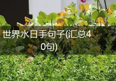 世界水日手句子(汇总40句)