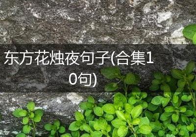 东方花烛夜句子(合集10句)