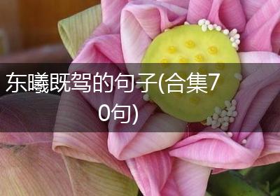 东曦既驾的句子(合集70句)