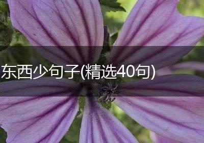 东西少句子(精选40句)