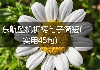 东航坠机祈祷句子简短(实用45句)
