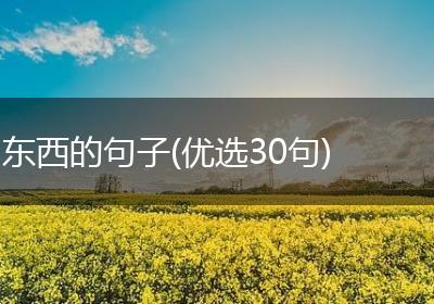 东西的句子(优选30句)
