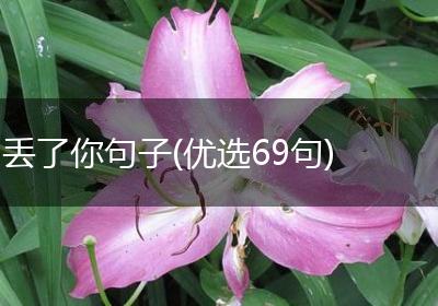 丢了你句子(优选69句)