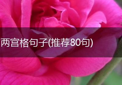 两宫格句子(推荐80句)