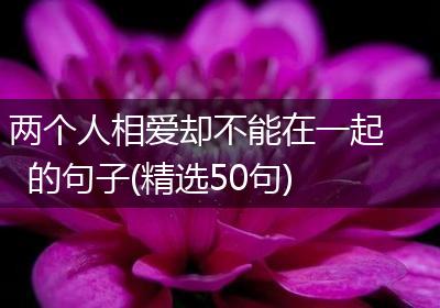 两个人相爱却不能在一起的句子(精选50句)