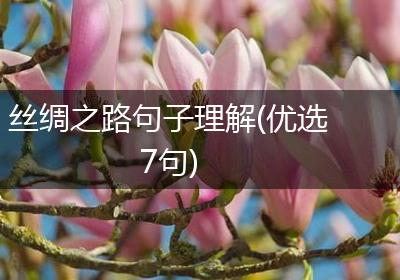 丝绸之路句子理解(优选7句)