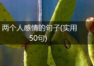 两个人感情的句子(实用50句)