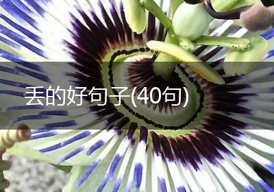 丢的好句子(40句)