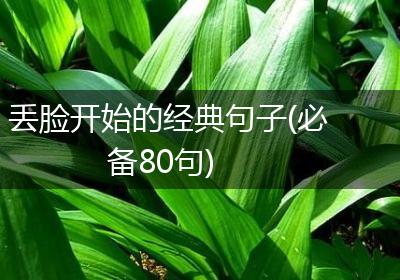 丢脸开始的经典句子(必备80句)
