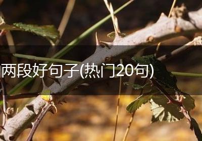 两段好句子(热门20句)