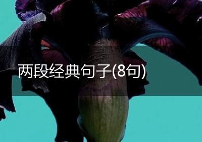 两段经典句子(8句)