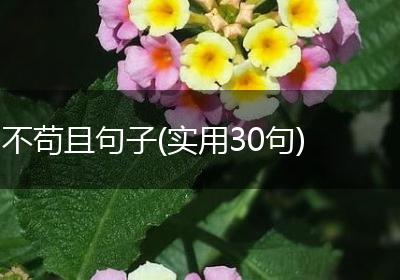 不苟且句子(实用30句)