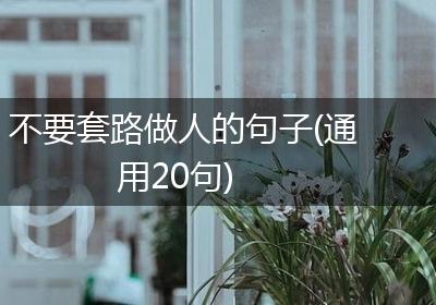 不要套路做人的句子(通用20句)