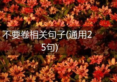 不要卷相关句子(通用25句)
