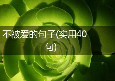 不被爱的句子(实用40句)