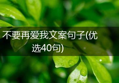不要再爱我文案句子(优选40句)