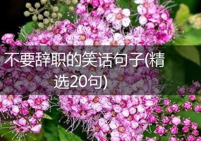 不要辞职的笑话句子(精选20句)