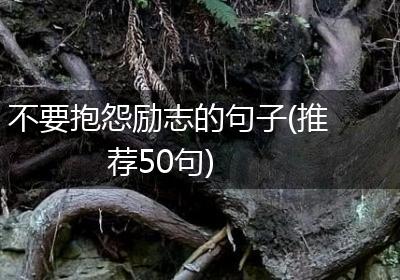 不要抱怨励志的句子(推荐50句)
