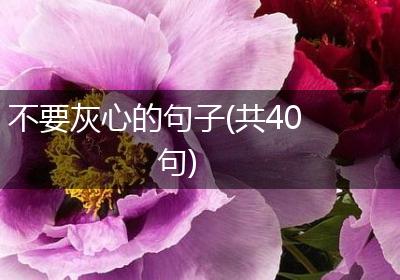 不要灰心的句子(共40句)