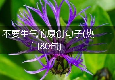 不要生气的原创句子(热门80句)