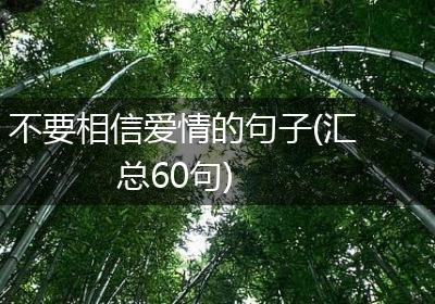 不要相信爱情的句子(汇总60句)