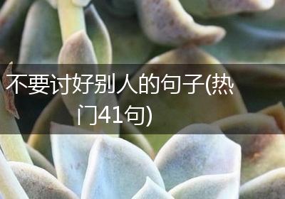 不要讨好别人的句子(热门41句)