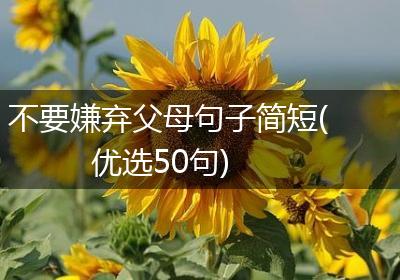 不要嫌弃父母句子简短(优选50句)