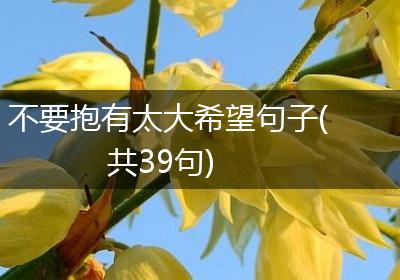 不要抱有太大希望句子(共39句)