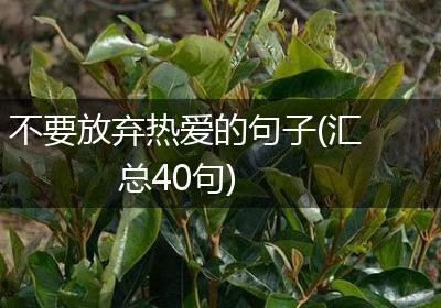 不要放弃热爱的句子(汇总40句)