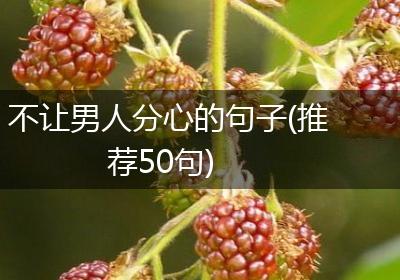 不让男人分心的句子(推荐50句)