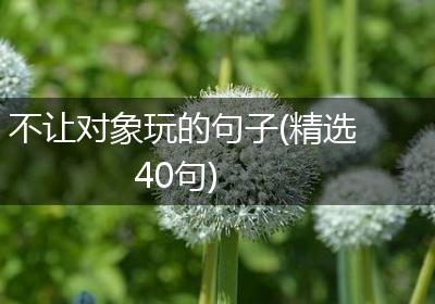 不让对象玩的句子(精选40句)