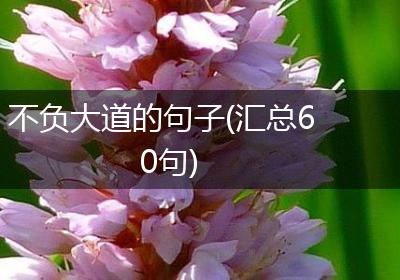 不负大道的句子(汇总60句)
