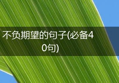 不负期望的句子(必备40句)