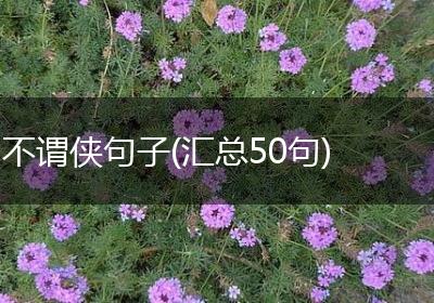 不谓侠句子(汇总50句)