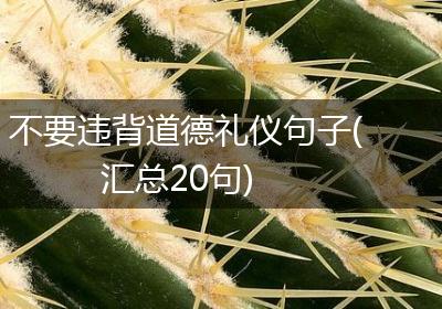 不要违背道德礼仪句子(汇总20句)