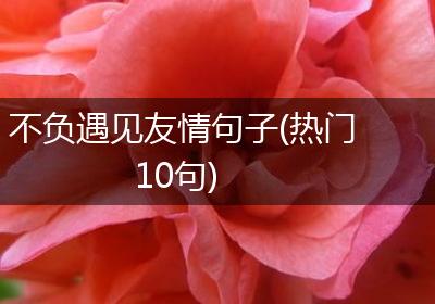 不负遇见友情句子(热门10句)