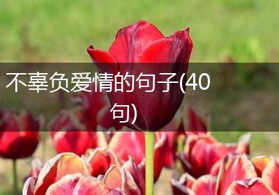 不辜负爱情的句子(40句)