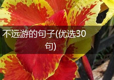 不远游的句子(优选30句)