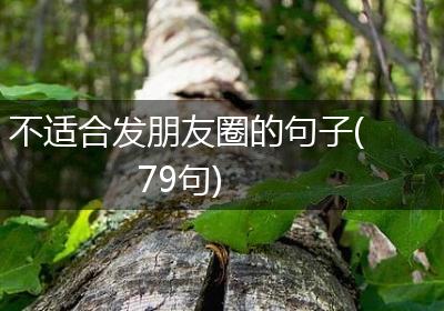 不适合发朋友圈的句子(79句)