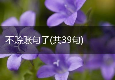 不赊账句子(共39句)