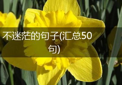 不迷茫的句子(汇总50句)