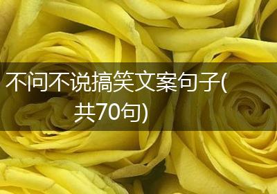 不问不说搞笑文案句子(共70句)