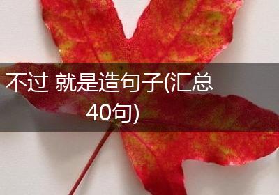 不过 就是造句子(汇总40句)
