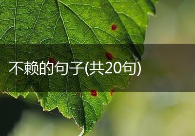 不赖的句子(共20句)