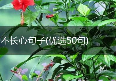 不长心句子(优选50句)