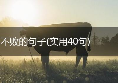 不败的句子(实用40句)
