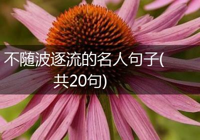 不随波逐流的名人句子(共20句)